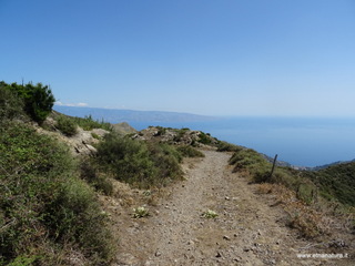 nte Scuderi-05-09-2020 13